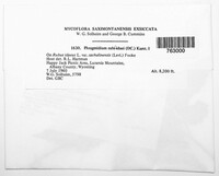 Image Associated With the Occurence